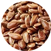 Biolean Main