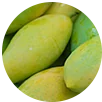 Biolean Main